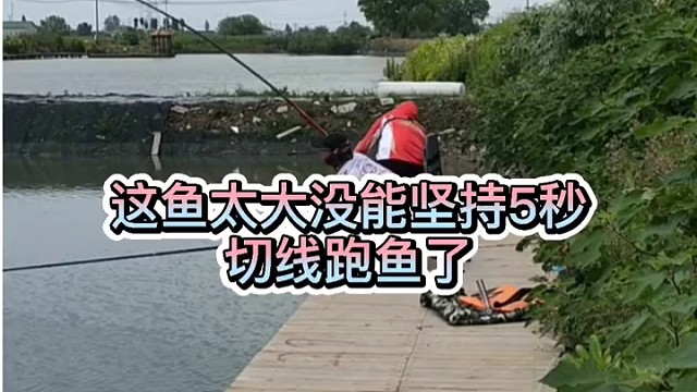 这鱼太大没能坚持五秒，切线跑鱼了