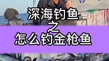黄鳍金枪怎么钓？今天带大家看一下 (1)