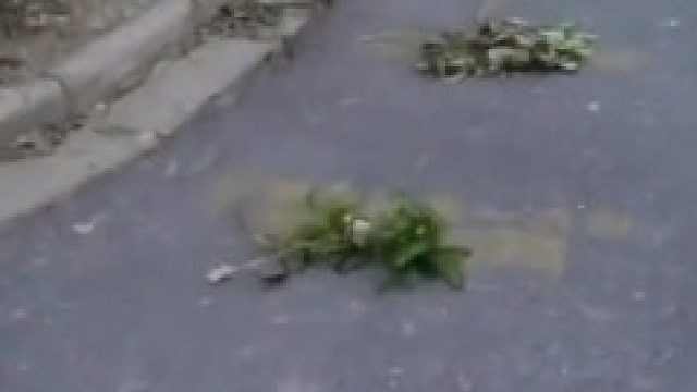 大爷大妈用砖头树叶提前排队做核酸，男子提出质疑，第二天全失算