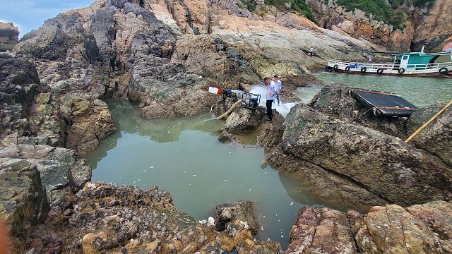 岛上一年未抽的深水坑，抽干一看不得了，这是抽到宝藏鱼坑了吗