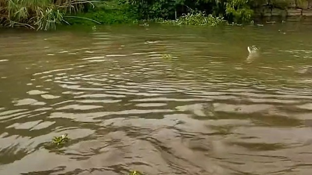 大佬们这种情况怎么办