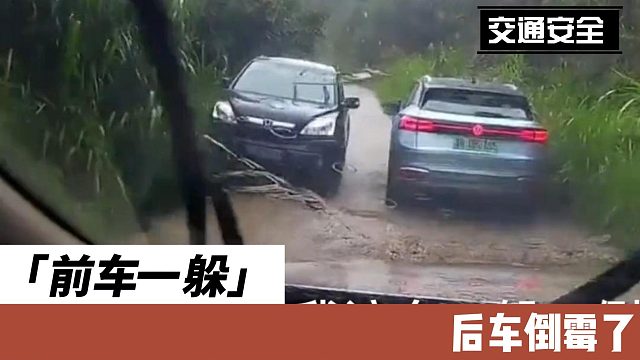 前车一躲，后车倒霉了