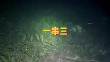 一串三#渔猎 #自由潜渔猎 #潜水渔猎 #环游捕手#潜水捕鱼