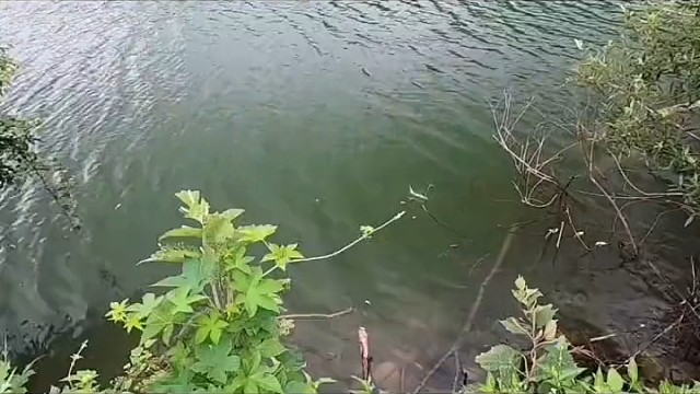 确定目标后只能这么干