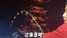 今天又去钓金枪鱼了，看一下我一个晚上能钓多少条 (9)