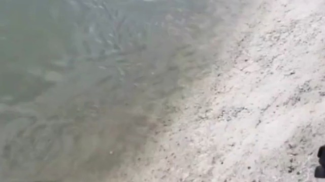 可惜了一套房子没了