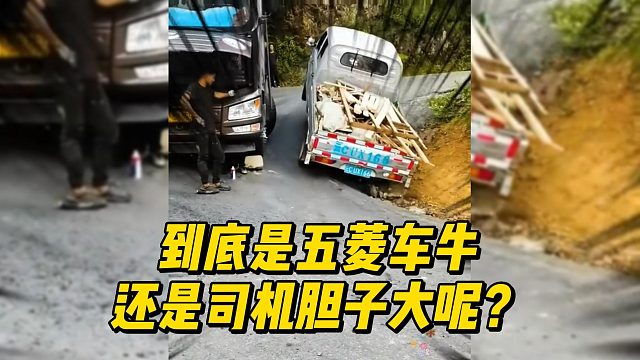 到底是五菱车牛还是司机胆子大呢？