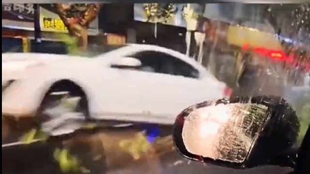 横倒大树挡住去路  万万没想到...