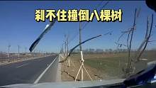 小伙开车速度太快，来不及避让，最后碰断八颗树，太吓人了第一集