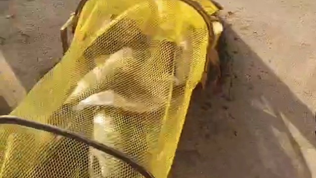 黑坑盘老板系列6