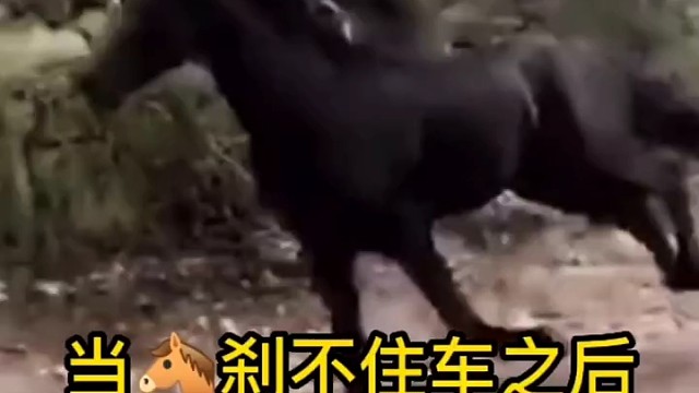 当马刹不住车之后
