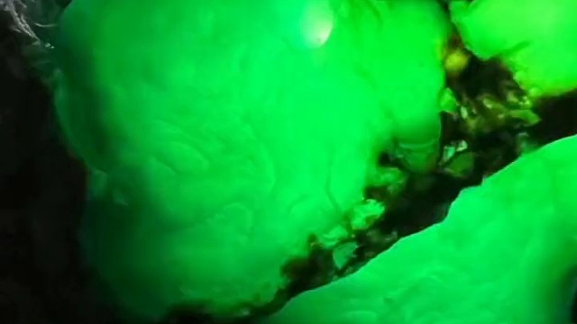 我发布了一个新视频，快来围观吧！