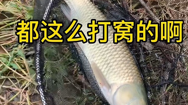 现在打窝都这么打的吗