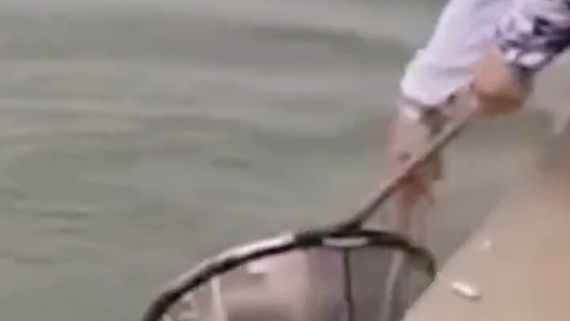 说明这条鱼不想和你走