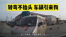 小伙转弯不抬头，导致车祸引来狗第一集
