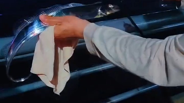 头一次见到这种鱼，银光程亮，太漂亮了