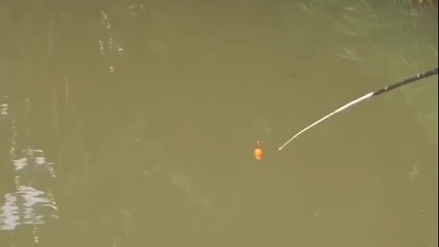 小姐姐钓鱼，5号的大马力都切线了