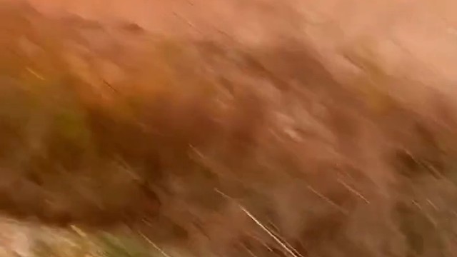 一花一木皆随愿一岁一平长无忧常怀善念抚花笑低眉观风自在心一手烟火一手诗意