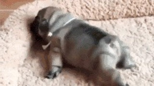 吸汤面-与世无争VS纵横-大道魔WX视角-防守-上