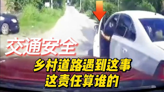 乡村道路遇到这事，这责任算谁的