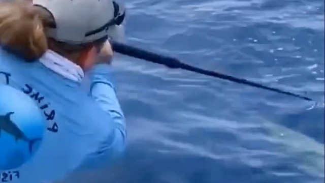 这鱼估计是想不开了