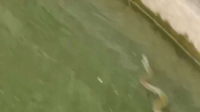 看出来什么问题了吗？