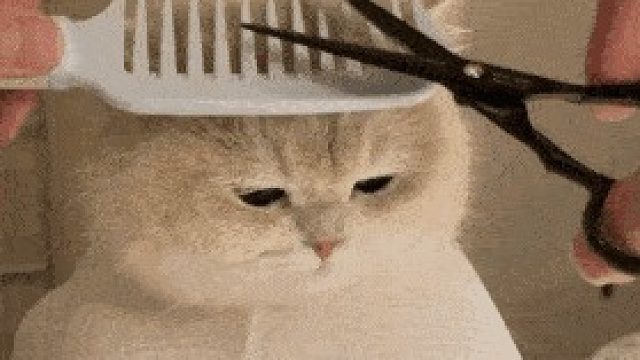 萌新小白练zc-片段2