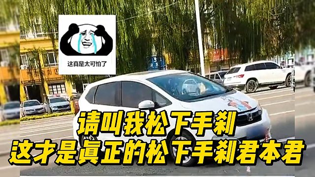 请叫我松下手刹 这才是真正的松下手刹君本君