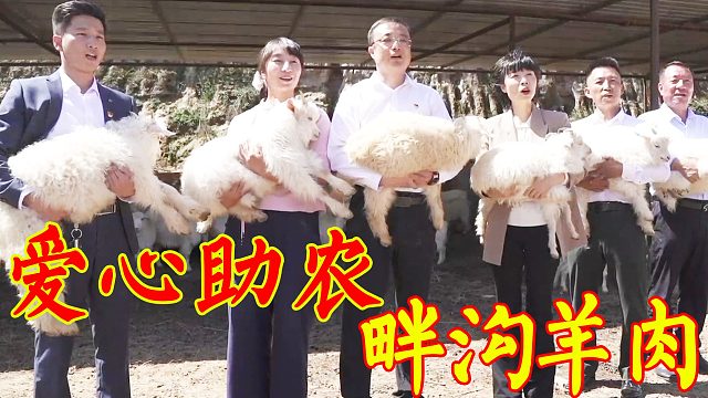 全媒体矩阵爱心助农！春姐宣传家乡畔沟羊肉，炖一锅汤清味浓，香