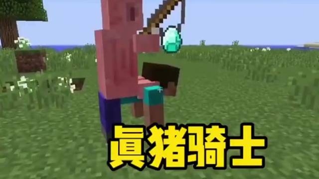 我的世界：直接惊呆你下巴，这是真猪猪骑士啊