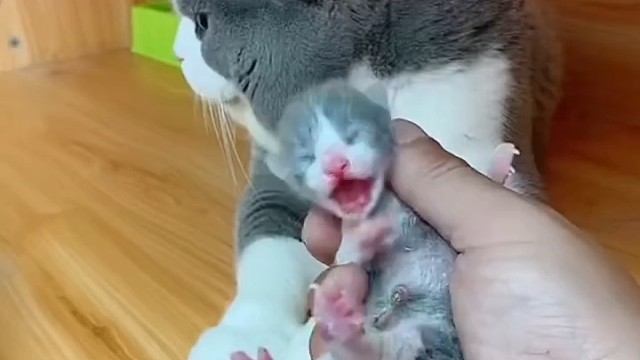 不是说自己的孩子都是香喷喷的么