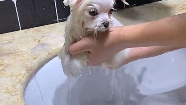 变装后太可爱了吧