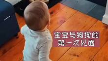 宝宝与他最好的朋友的初次见面