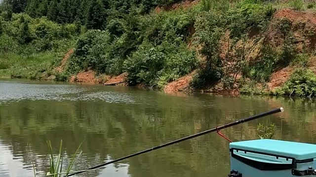 求高手分析，问题出在哪