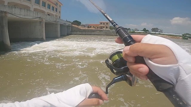 鱼还没有反应就被拖上岸了