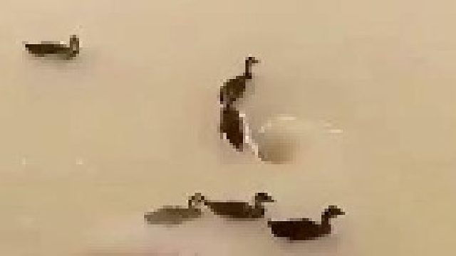 兄弟你怎么这么冲洞？