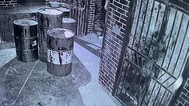 鬼：就你这样的都活不过一集