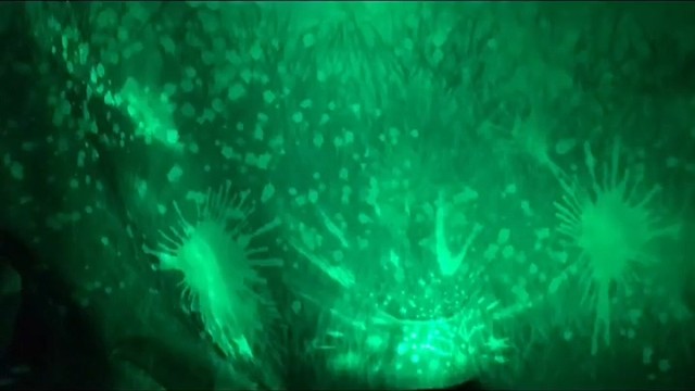 带你去看2022年夏夜最后的烟火