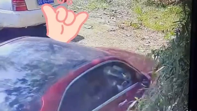 女子倒车本以为是车技表演