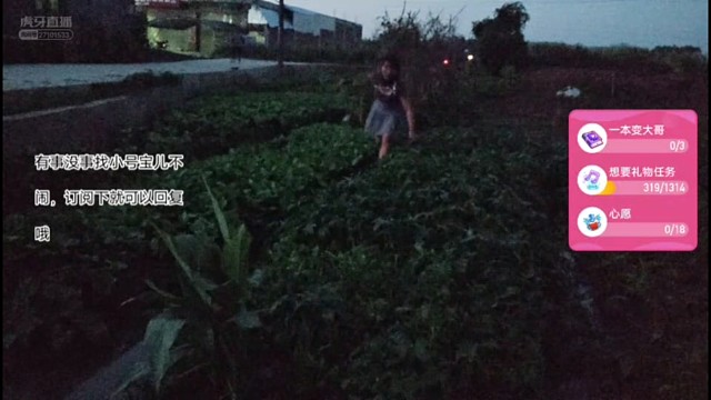 陪妈妈淋一田的菜