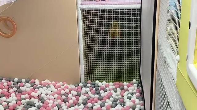 亲子互动游戏，我的宝贝去哪了呀！