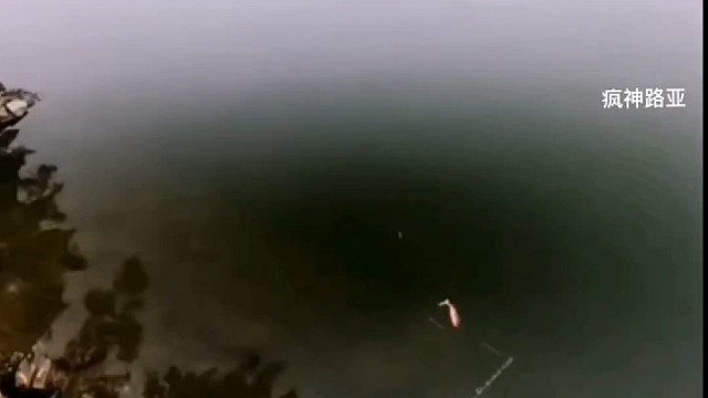 看看路亚是如何骗鱼的