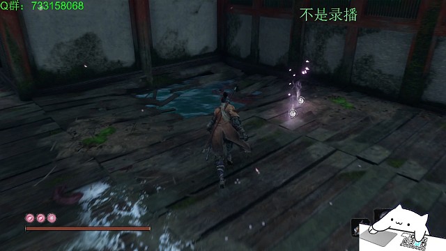 我是真的没看到