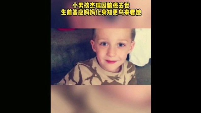 年仅4岁男孩杰瑞因患脑癌过世，生前曾说过，会化身知更鸟回来探望妈妈，一周年后发现墓碑上停留一只知更