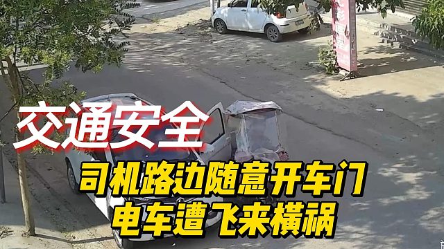 司机路边随意开车门 电车遭飞来横祸