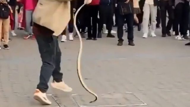 寒去春来，万物复苏游玩注意安全，勇敢的大叔。