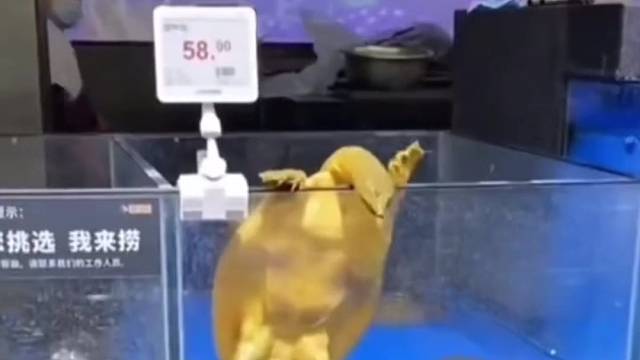 脑瓜子嗡嗡的吧