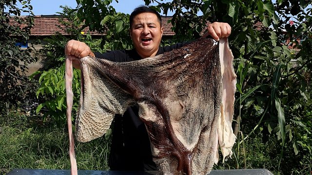 330元买一套大牛肚，做一道“辣炒牛肚”，香辣美味，下酒硬菜