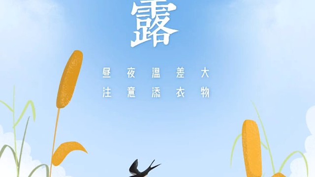 一种坚守，一种承诺—#及猫云