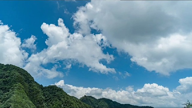 手动挡驾驶员的弪梦